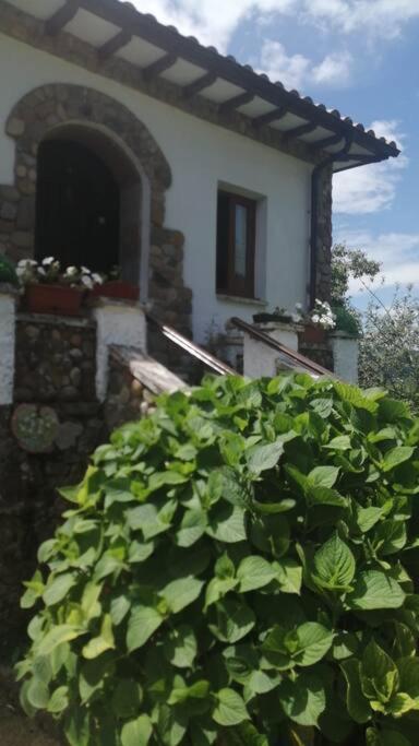 Apartamento En Casa Rural Con Amplio Jardin A 5 Min De La Playa Situacion Inmejorable La Riera  ภายนอก รูปภาพ
